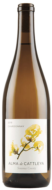 2019 Alma De Cattleya Chardonnay Sonoma County