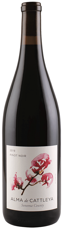2019 Alma De Cattleya Pinot Noir Sonoma County