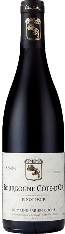 2019 Fabien Coche Bourgogne Cote D'Or Pinot Noir