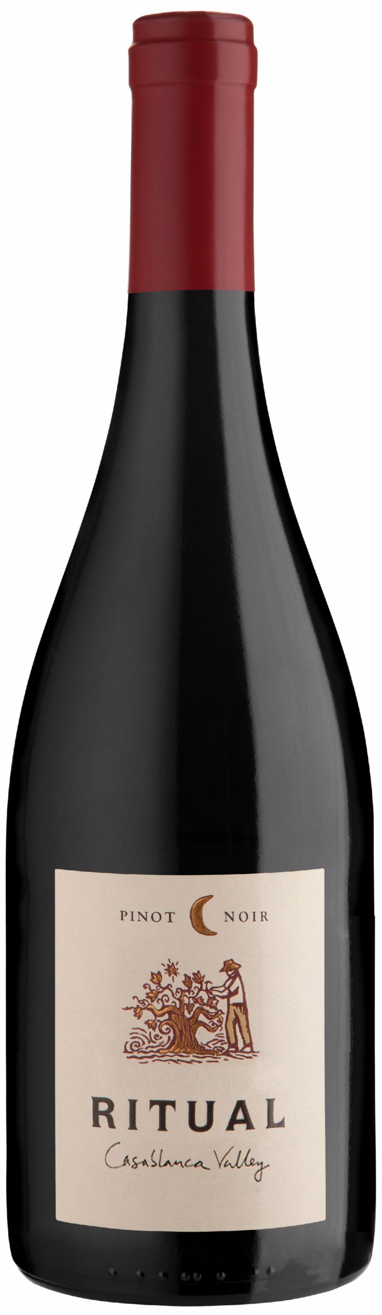 2018 Ritual Pinot Noir Casablanca Valley Chile
