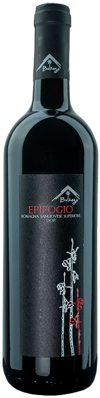 2018 Bulzaga Epipogio Romaga Sangiovese Superiore