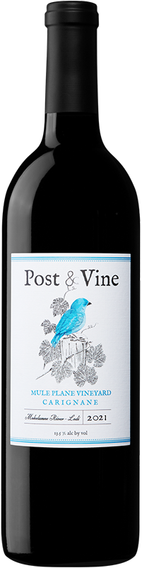 2021 Post & Vine Carignane Mule Plane Vineyard Lodi