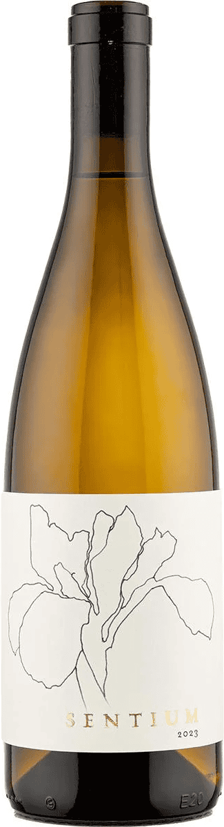 2023 Sentium By Continuum Sauvignon Blanc Mendocino