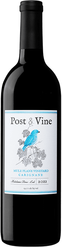 2022 Post & Vine Carignane Lodi California